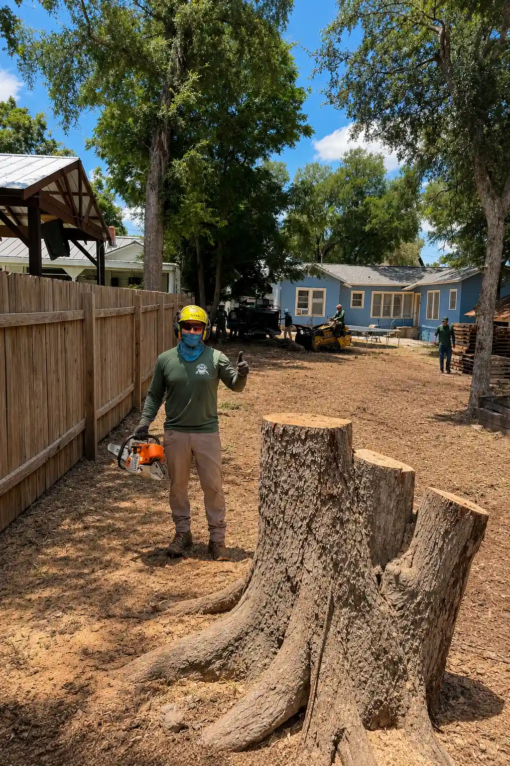 Clean tree service work at a St. Louis property